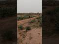 block start perfect#sprint 30m speed#shorts#motivation#viral#explore#army#trending#athlete
