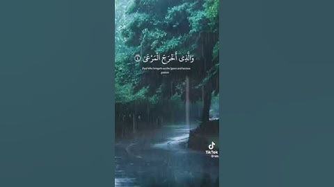 سبح اسم ربك الأعلى/قران كريم انشروو