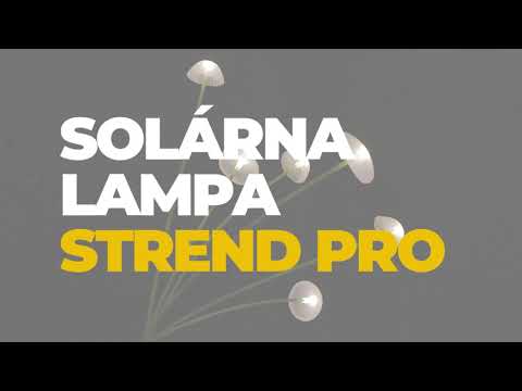 2173798 - Solárna lampa Strend Pro