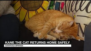 Cat whose disappearance sparked outrage returns home