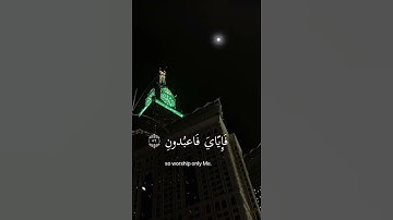 (ياعباي الذين آمنوا ان ارضي واسعة فاياي فعبدون) @سوره العنكبوت الآيه [56]#القرآن_الكريم#صوت_جميل