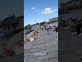 Kalvebod Brygge Harbor Bikini Beach Copenhagen, Denmark July 2023 #Sunbath #beachwalk #Beach #4K