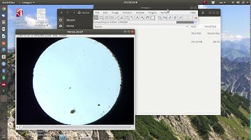 Automatic Tracking with imagej