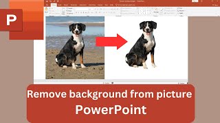 How to Remove Background from Picture in PowerPoint