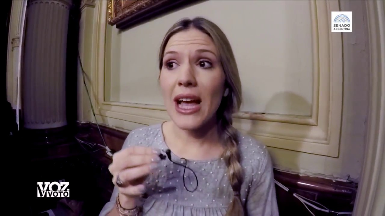 VOZ Y VOTO - MENEM PRESENTA SU LIBRO camera iphone 8 plus apk