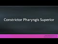 Pronunciation of the word(s) "Constrictor Pharyngis Superior".