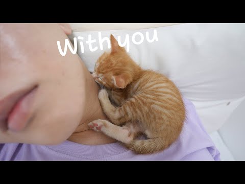 A kitten that sleeps <strong>hugging</strong> me like a human baby