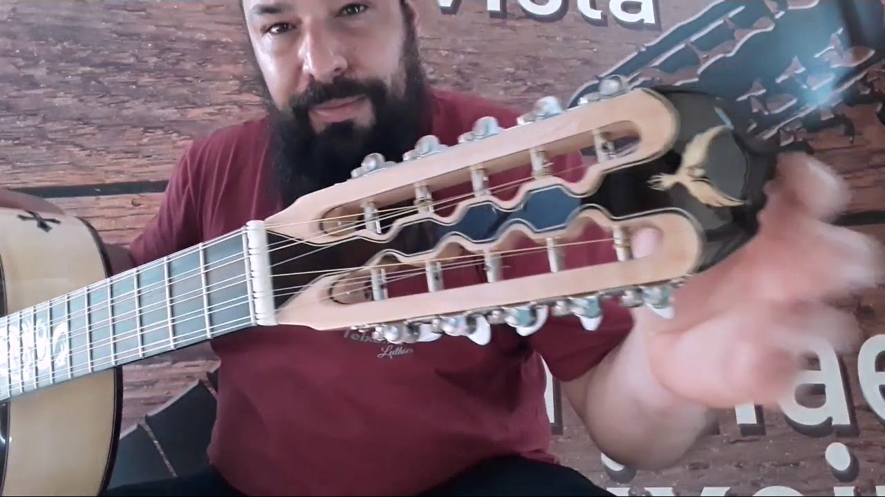 Viola Maple Rafael C Teixeira Luthier