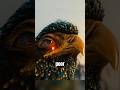 The man let the phoenix go,and the phoenix came back to repay the favor #viral #shorts