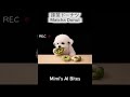 Cute Dog Mimi Matcha Donut ASMR 🐶🍩 抹茶ドーナツが美味しすぎる💚 #cute #puppy #coreanstreetfood #pets #funny