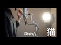 猫 - DISH// 北村匠海 full covered by オサム