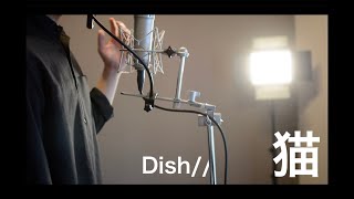 猫 - DISH// 北村匠海 full covered by オサム