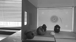 Emotional Damage 2 By Clarke Picard Thomas Boudreau Et Wesley Dewart Sir James Douglas