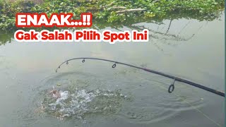 ENAAK  !! Gak Salah Pililh Spot Ini Strike Ikan Mas Ikan Nila Besar Besar dan Bandeng