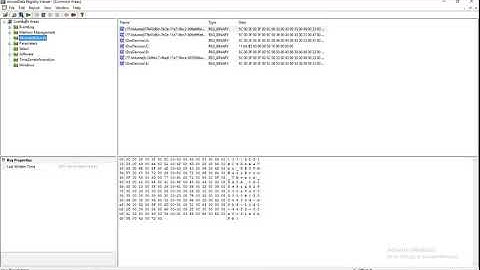 13 - Registry viewer
