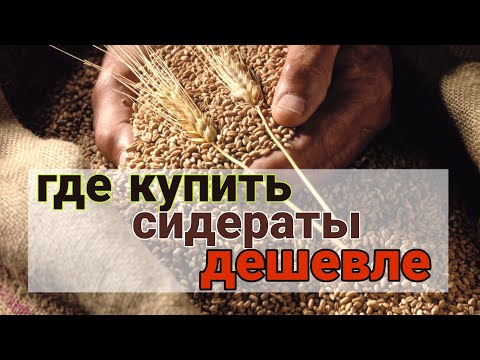 ЭКОНОМИМ ДЕНЬГИ. Где