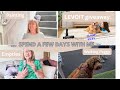 Walk with Peggy🌺decorate and clean with me🌺empties review🌺 a fantastic giveaway LEVOIT LVAC300