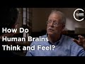 Eran Zaidel - How Do Human Brains Think and Feel?