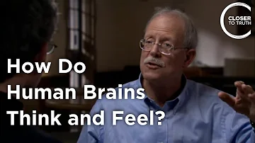 Eran Zaidel - How Do Human Brains Think and Feel?