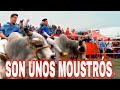 iiiEstos Toros Son Unos Moustrós!!!La Maldita De Cortázar - Feria Chalco '19