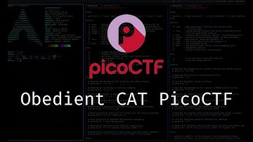 picoCTF Obedient Cat walkthrough #picoctf #ctf #cybersecurity
