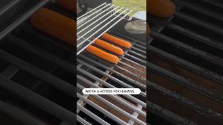 New hot dog chew toy available!