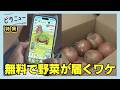 【値上げ疲れ】スマホゲームで物価高対策 買い物アプリ「カウシェ」とは?|ピタニュー特集