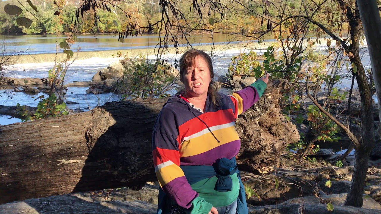 Michelle A. Fisher Realtor, Northern Virginia at Great Falls YouTube