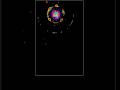 After much more time evolving, they've started to live in each other shields #simulation #evolution