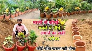 माली से सीखे गमले में पौधे लगाने का सही तरीका ।। #Garden_Care_tips