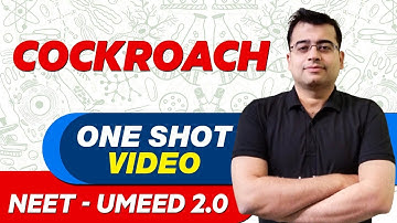 COCKROACH in 1 Shot - All Theory, Tricks & PYQs | NEET Crash Course | UMEED 2.O