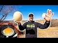 Giant OSTRICH EGG Catch Clean Cook!!! (Surprising Results!)