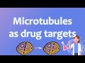 Proteins as Drug Targets: Microtubule Inhibitors - Medicinal Chemistry 1.9