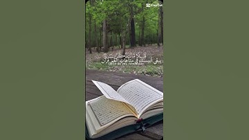 ما شاء الله تبارك الرحمن ما اجمل صوت القران الكريم اتمنى تشتركون بقناه وتفعلون الجرس فضلا وليس امرا