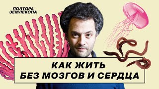 Удивительная жизнь слизевиков, медуз, кораллов и червей | Илья Колмановский, «Полтора землекопа»