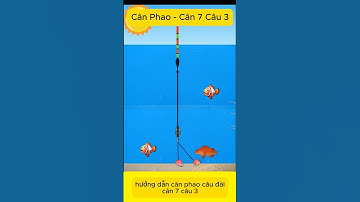 Cân 7 câu 3 - cách cân phao câu đài #fishing #can7cau3 #cachcanphao