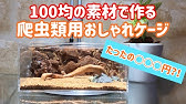 立体活動が出来る レオパのためのおしゃれ簡単レイアウト Youtube