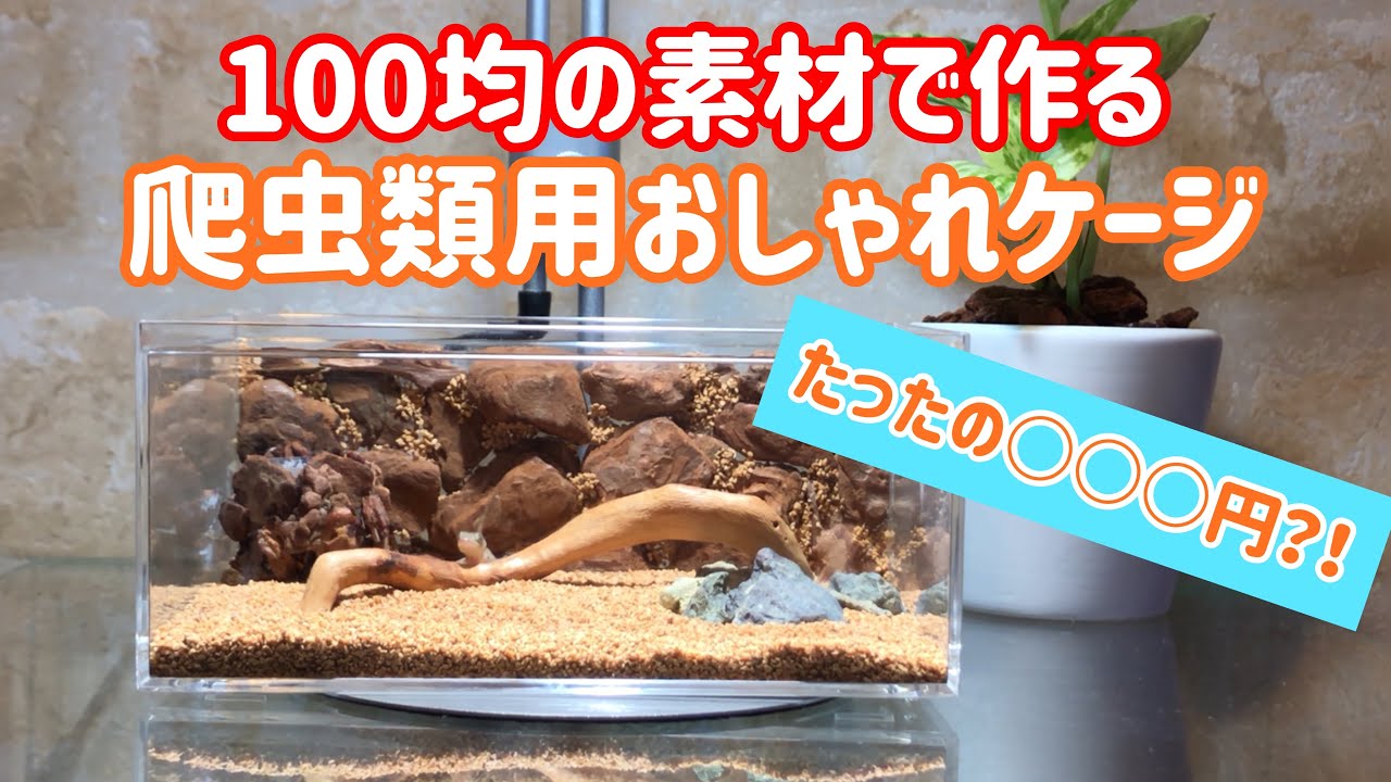 Diyケージ 100均の素材だけで作れる 爬虫類ケージを簡単でおしゃれに激安で自作してみた Youtube