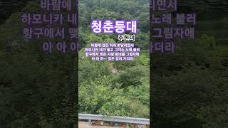 청춘등대  #주현미#손인호#트로트#1957손인호인생곡ㆍ최고히트인기애창곡