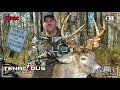 Public Land Swamp Buck! - North Central Wisconsin | Tenacious Hunter