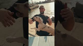 Big blonde met some visiting friends yesterday during a besutiful sunset over manhattan #greatdane #