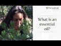 What is an Essential Oil?