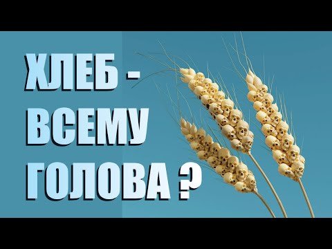 ХЛЕБ - ВСЕМУ ГОЛОВА !?! ▪ Происхождение пшеницы ▪ Скляров А.Ю.🌾Вавилов Н.И.