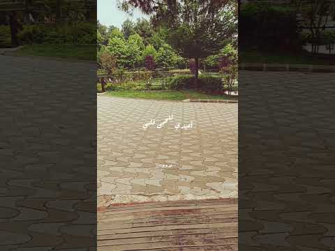 خطوت خطاك مخطئة كفى يانفس ماكان هدوء اكسبلور Explore Foryou Trending 