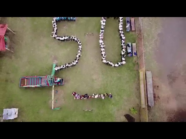 Watch Escuela Santa Marta celebra 50 aniversario de su creación on YouTube.