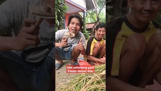 Ani Ani Alat Pemotong Padi Petani Jaman Dulu diy crafts idekreatif  tips viral trending