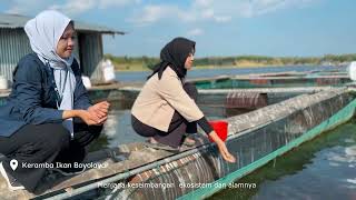 PROFIL WISATA BOYOLAYAR