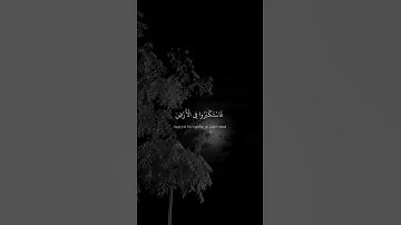 القارئ عبدالرحمن مسعد
