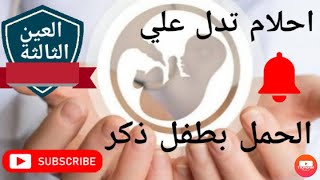 أحلام/رؤى تدل على الحمل بطفل ذكر/٣٠ علامة و رمز تشير إلى الرزق بمولود ذكر @user-mo5zt5ei6r