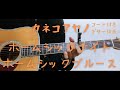 【ギターコード付き】カネコアヤノ/ホームシックナイトホームシックブルース【アコギ弾いてみた】